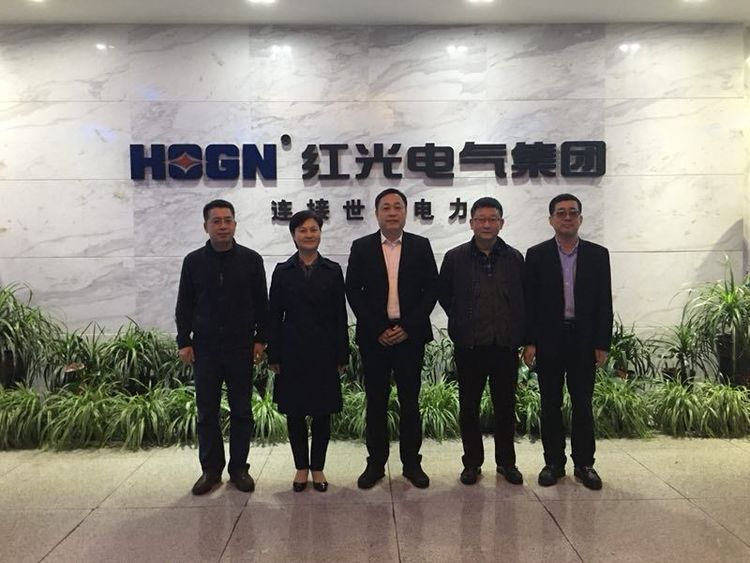 温州市质量手艺监视局局长朱云华一行莅临必发bifa考察